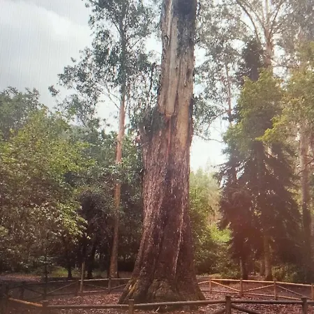 Apartamento Playa De Covas-viveiro *