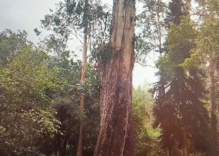 Daire Playa De Covas-viveiro *